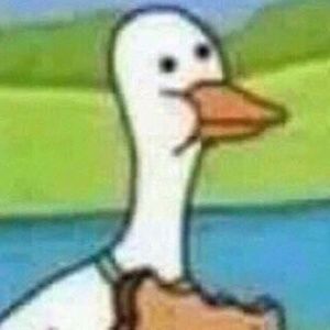 Meet your Posher, Jose